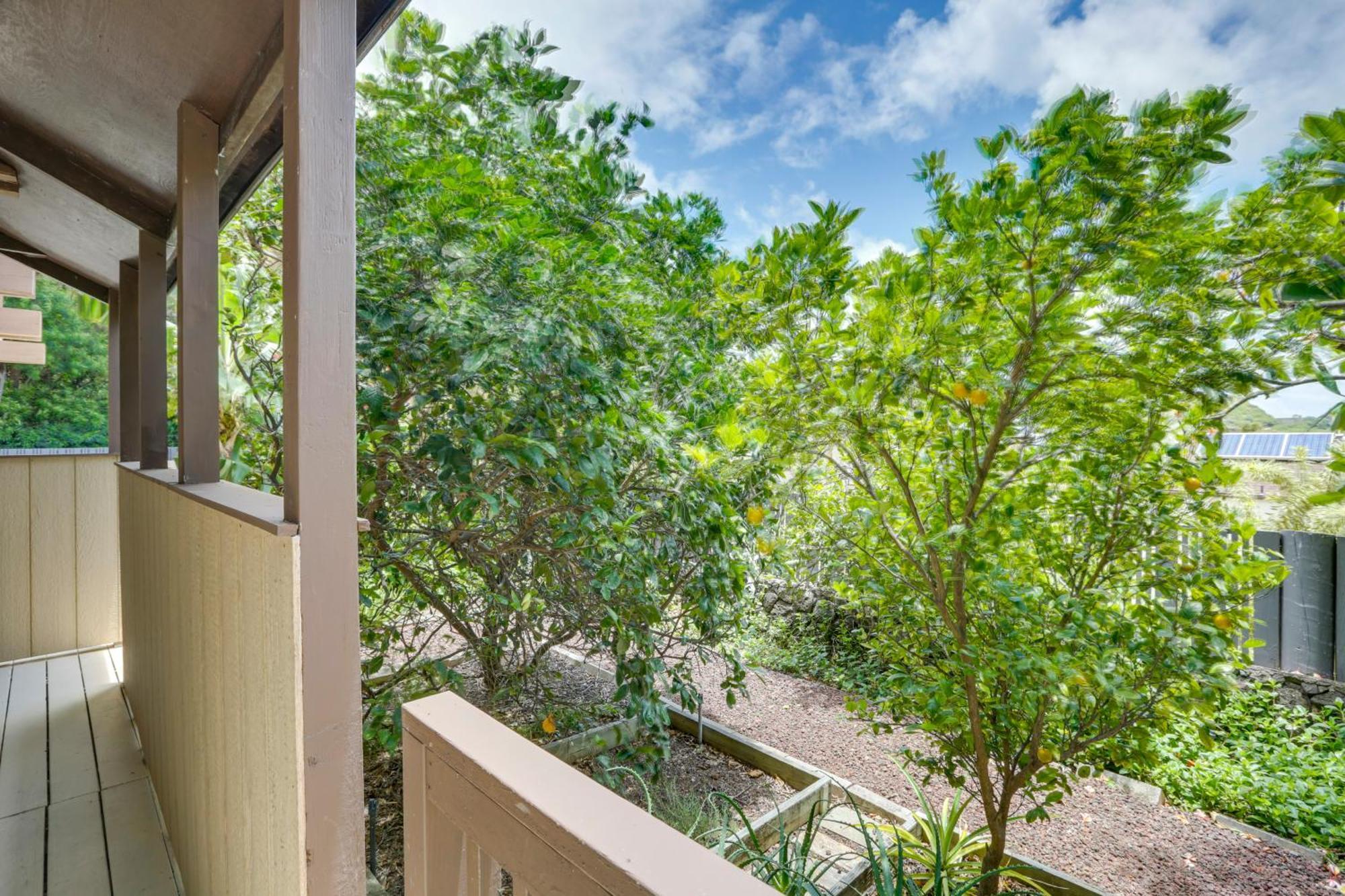 Cozy Honolulu Retreat With Pool Access, Near Beaches Waimanalo Dış mekan fotoğraf